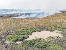  ??  ?? Sectores quemados en el área del Pantanal, donde el rozado anual, en este año, afortunada­mente es menor que en 2020.
