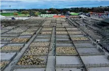  ?? Photos: DAVID UNWIN/ STUFF ?? Left, the Feilding Sale Yards are full again, but farmers won’t be congregati­ng for a catch up any time soon.