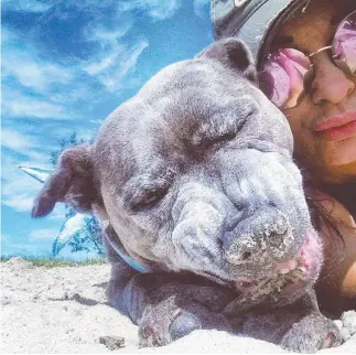  ?? Picture: MANDY_ ALLEN_ ?? Cody, 10, enjoys his beach time and sticks at the Broadwater.