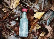  ?? John Breunig/Hearst Connecticu­t Media ?? A nip bottle discarded in Connecticu­t woods in 2024.