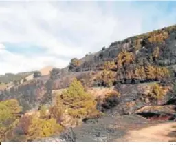  ?? D. A. ?? Así ha quedado la Sierra de Gádor tras el incendio.