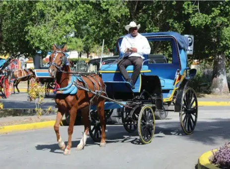  ?? JENNIFER BAIN PHOTOS/TORONTO STAR ?? In Bayamo, also known as the city of horse carts, Jennifer Bain took a spin in this elaborate chariot with driver Joaquin Tamayo.