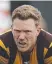  ?? ?? Hawthorn’s James Sicily.