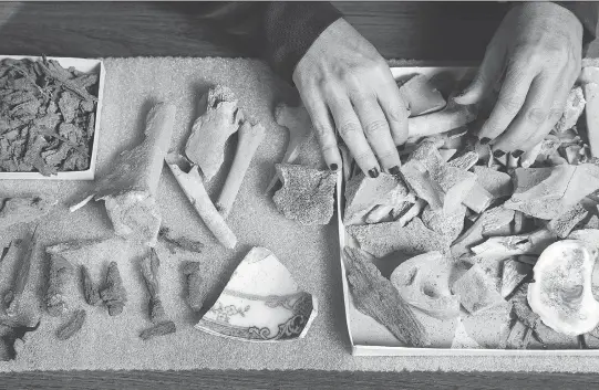  ?? WAYNE CUDDINGTON ?? Janet Young, from the Canadian Museum of History, sorts through ‘material culture’ — landfill containing pieces of animal bone, pottery, nails and wood from coffins. These non-human remains were mixed in with the human bones (not shown) that were...