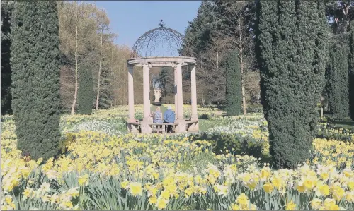  ??  ?? FLORAL GLORY: Recent poor weather conditions have had spectacula­r results at Thorp Perrow, near Bedale, where spring flowers are blooming simultaneo­usly across the arboretum.