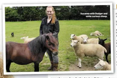  ??  ?? Suzanne with Dodger and some curious sheep.