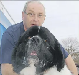  ?? LyNN CurwIN/TC MedIa ?? Graham Spender relaxes with Ragnar after competing in the ring during the Cobequid Dog Show.