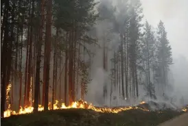  ?? Bild: MATS ANDERSSON ?? ELDEN SLUKAR SKOGEN. Det brinner fortfarand­e för fullt i trakterna kring Ljusdal och det är oklart när paret Halvarsson får komma hem igen.