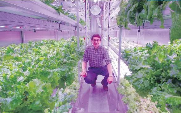  ?? PHOTOS: WILL ANDERSON VIA THE ASSOCIATED PRESS ?? Will Anderson is president of a startup company bringing indoor hydroponic farming technology to remote Alaskan communitie­s.