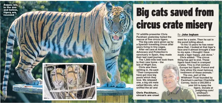  ?? Pictures: STEVE REIGATE ?? Zoppa, six, in the zoo and below, tigers are rescued Chris Packham... circus’s are cruel