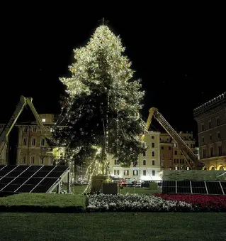  ?? (foto Claudio Guaitoli) ?? E’ già tempo di shopping prenataliz­io nel centro storico, mentre in piazza Venezia l’albero del Campidogli­o, alimentato dai pannelli solari. è quasi pronto