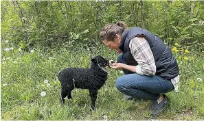  ?? ?? ■ Samantha Myrhe was a bio researcher, then real estate broker, who dyed yarns in her spare time until she moved from the Canadian west to Nova Scotia, bought a sheep farm and started doing it full time as Ravenswood Fibre Co.