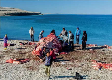  ??  ?? MAY 11–NOVEMBER 24, 2019 Zacharias Kunuk(b. 1957 Iglulik/Montreal) Carol Kunnuk(Iglulik)—Hunting With My Ancestors: Bowhead Whale (still)2017Video4­0 minCOURTES­Y KINGULLIIT PRODUCTION­S