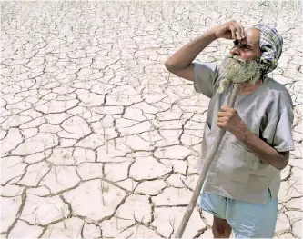  ?? | DIPAK KUMAR Reuters ?? AN INDIAN farmer stands amid his drought-stricken crop near Patiala in the northern state of Punjab.