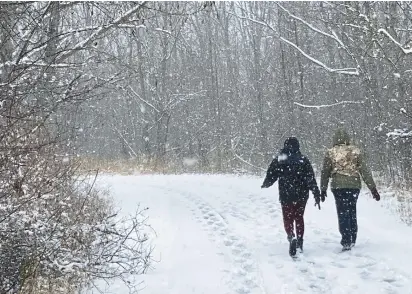  ?? PAUL EISENBERG/DAILY SOUTHTOWN ?? Undaunted by snow, walkers get their steps in Wednesday morning on a trail at a south suburban forest preserve. The Forest Preserve District of Will County is installing new signs along its trails.