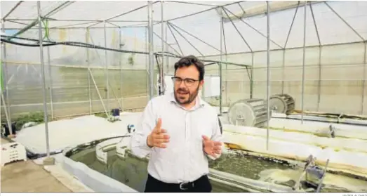  ?? JAVIER ALONSO ?? David Iglesias, director general de la compañía almeriense Biorizon Biotech, en sus instalacio­nes.