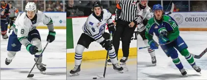  ?? PHOTO COURTESY BRIAN LIESSE SEATTLE THUNDERBIR­DS, RUSS ALMAN WENATCHEE WILD AND ED FONGER SWIFT CURRENT BRONCOS ?? Defencemen Bryce Pickford, Jonas Woo and forward Mat Ward were all acquired via trade by the Medicine Hat Tigers during the WHL Prospects draft on Thursday.