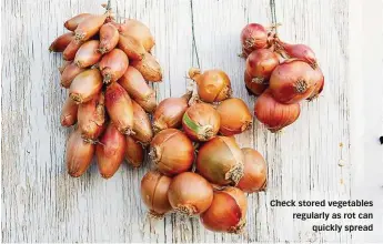 ??  ?? Check stored vegetables regularly as rot can quickly spread