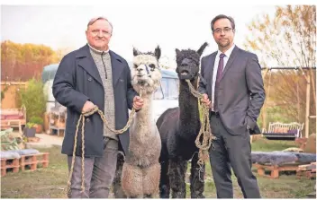  ?? FOTO: WDR ?? Etwas weniger störrisch als die teils verdächtig­en Kommunarde­n: Frank Thiel (Axel Prahl) und Professor Karl-Friedrich Boerne (Jan Josef Liefers) mit Alpakas.