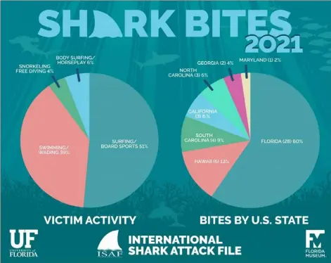  ?? Courtesy Jane dominguez, university of florida ?? florida again had the highest number of shark bites of any geographic region in the world, and made up 60% of bites that occurred along u.s. coasts.