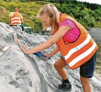  ?? Archivfoto: Harald Langer ?? Das feinfühlig­e Ausgraben hat sich gelohnt: Ein Forscherte­am aus Tübingen hat im Ostallgäu weitere Überreste des Menschenaf‰ fen Udo gefunden. Die Fossilien sollen helfen, den aufrecht gehenden Primat besser zu verstehen.