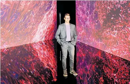 Black holes and giant trees - PressReader