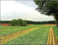  ?? SUBMITTED PHOTO ?? Chester County preserved farmland in West Nantmeal Township.