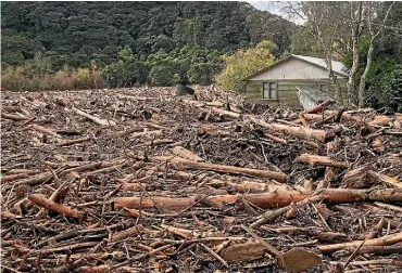  ??  ?? The aftermath of forestry slash following flooding in Tolaga Bay.