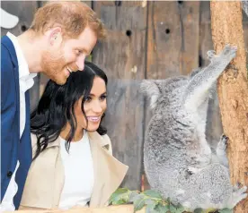  ?? Photo / AP ?? Prince Harry and Meghan visit Admiralty House in Sydney and check out koalas at Taronga Zoo yesterday on their Australian visit.