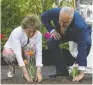  ?? FELIX CHAGNON / POSTMEDIA NEWS ?? Princess Margriet of the Netherland­s plants a tulip in front of Stornoway, her childhood home,
on Thursday.