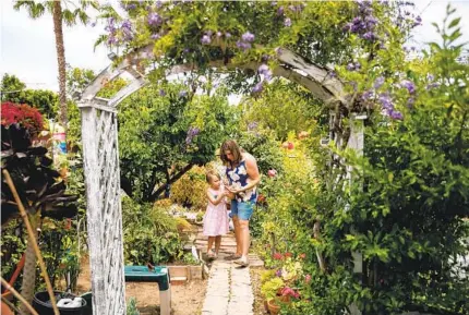  ?? SAM HODGSON U-T ?? Five-year-old Amara Feathersto­n and her mother, Forest Feathersto­n, check apricots they picked off her family’s tree at the Vera House Community Garden in Normal Heights recently. The plot of land that houses the garden has been sold.