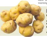  ??  ?? Bad weather has delayed the Jersey Royal season by at least three weeks.
Hard frosts and heavy rainfall over the winter left the ground “undesirabl­e for planting”, growers said.
Jersey normally exports around 30,000 tonnes of the