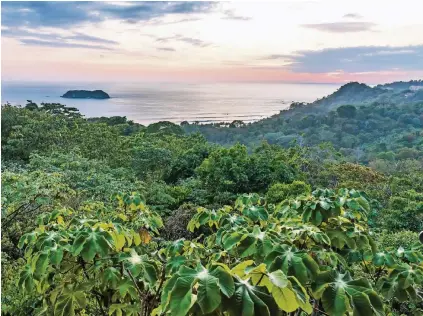  ??  ?? Mehr als 350 Vogelarten leben im Nationalpa­rk Manuel Antonio an der mittleren Pazifikküs­te.