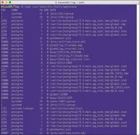  ??  ?? Here’s the output of opensnoop when executed on a not-so active Linux machine. Most of the output is from a running PostgreSQL database.