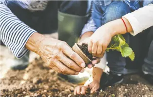  ?? ?? The health benefits of gardening are being touted by doctors, who say it can help with depression and sleep.