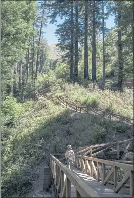  ?? PHOTOS BY LIPO CHING ?? Marcos Ortega, California Department of Parks and Recreation Big Sur sector superinten­dent, walks across a new wooden bridge on the Pfeiffer Falls Trail in Big Sur.