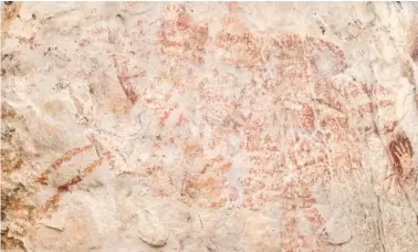  ?? LUC-HENRI FAGE VIA AP ?? The world’s oldest figurative artwork dated to a minimum of 40,000 years is shown in a limestone cave in the Indonesian part of the island of Borneo. Scientists say the red silhouette of a bull-like beast, upper left, is the oldest known example of animal art.