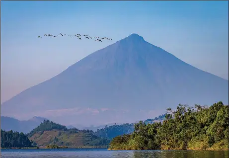  ?? (Courtesy of Marcus Westberg) ?? Mount Muhabura is one of the eight Virunga volcanoes, viewed from Lake Mutanda in Uganda.