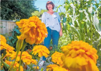  ?? Photo / Paul Taylor ?? Anneliese Hough started a Facebook page to give away excess produce from her garden six years ago, and is now releasing an app to take the idea nationwide.