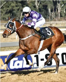  ?? Picture: JC Photograph­ics ?? BANKER. Princess Kesh, who runs in Race 6 at Turffontei­n today, is Muzi Yeni’s best bet on the card.