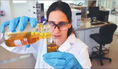  ?? BLOOMBERG ?? A technician tests a fuel sample at Cargill Inc’s biodiesel processing facility in Rosario, Argentina.