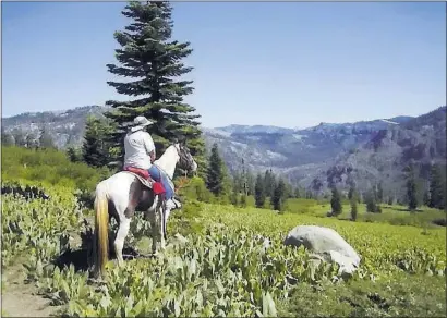  ?? AMERICAN RIVER CONSERVANC­Y ?? An equestrian rides near Lyons Ridge on the property recently purchased in the Sierra Nevada by three environmen­tal groups.