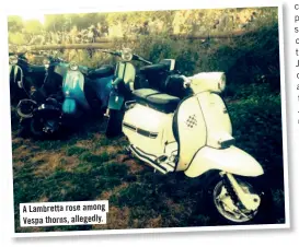  ??  ?? A Lambretta rose among Vespa thorns, allegedly.