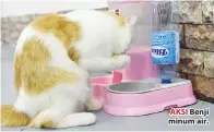  ??  ?? AKSI Benji minum air.