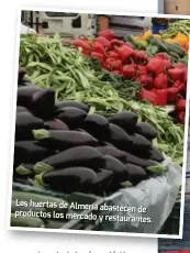  ??  ?? Las huertas de Almería abastecen de productos los mercado y restaurant­es.