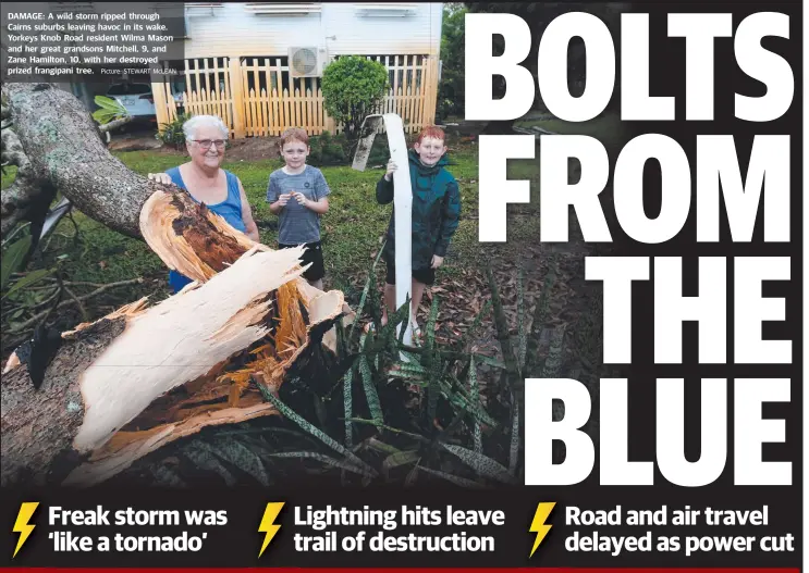  ?? Picture: STEWART McLEAN ?? DAMAGE: A wild storm ripped through Cairns suburbs leaving havoc in its wake. Yorkeys Knob Road resident Wilma Mason and her great grandsons Mitchell, 9, and Zane Hamilton, 10, with her destroyed prized frangipani tree.