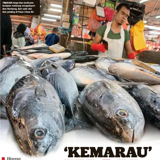  ??  ?? TINJAUAN harga ikan berikutan kerajaan melarang mengekspor­t ikan Kembong, ikan selar dan ikan pelaling di Pasar Chow Kit.