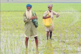  ??  ?? The Capt Amarinder Singh government has opened a Pandora’s box on debt waiver, with the farmers and labourers who have been left out already up in arms. HT FILE