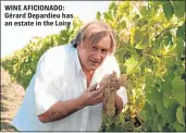  ??  ?? WINE AFICIONADO: Gérard Depardieu has an estate in the Loire