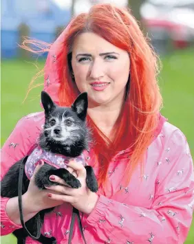 ??  ?? > Cherry the chihuahua was found by a drone after becoming trapped in an old mining tunnel. Cherry is pictured with owner Katinka Slingsby